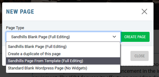 Select Sadnhills Page from Template from NEW PAGE window